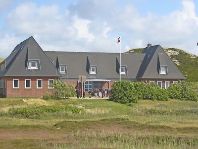 Möwennest