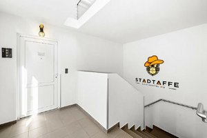 Stadtaffe