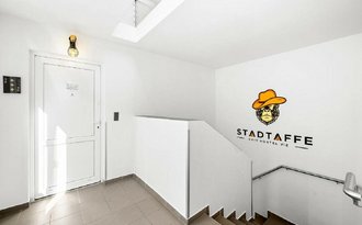 Stadtaffe
