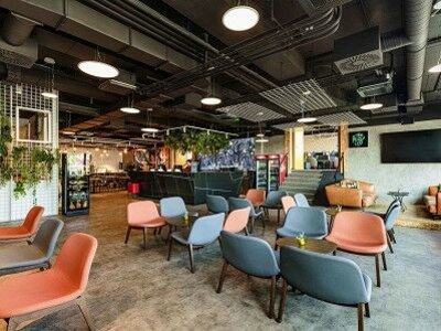 Ibis Styles & The Fuzzy Log