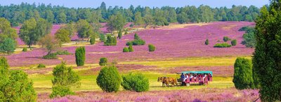 Klassenfahrten Niedersachsen