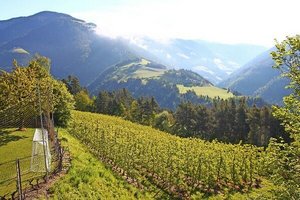 und tollem Bergpanorama Pressmind Bild-ID : 1258642