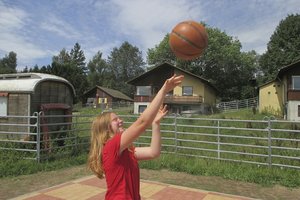 Basketball Pressmind Bild-ID : 3511815