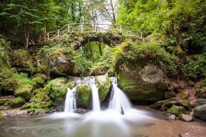 Müllerthal erkunden – Natur und Abenteuer mit Ihrer Schulklasse Müllerthal in Luxemburg – Naturparadies für Schulklassen
