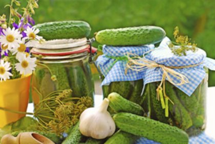 Spreewald Gurkenmuseum Boblitz