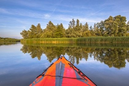Nationalpark De Biesbosch