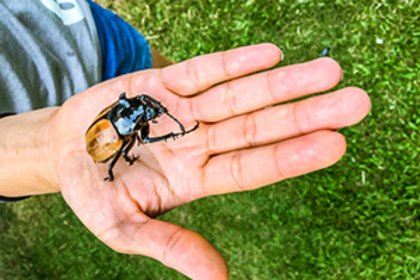 Westerwald Outdoor Adventure