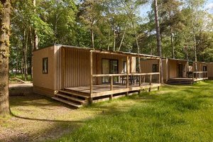 Forest Cabin Beispiel