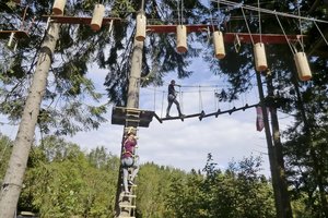 Waldseilgarten Pressmind Bild-ID : 1247423
