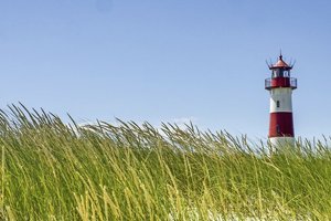 Dünenlandschaft Pressmind Bild-ID : 929563