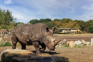 Safaripark Beekse Bergen