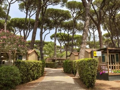 Park Albatros Village