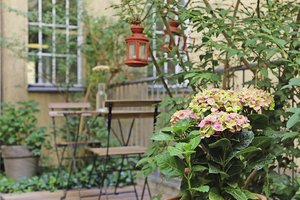 Garten Pressmind Bild-ID : 1231119