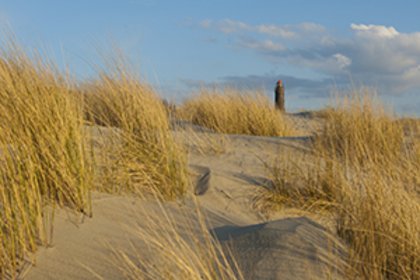 Dünenlandschaft Borkum