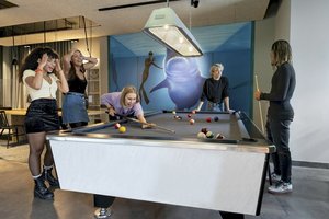 Billard Pressmind Bild-ID : 3971548