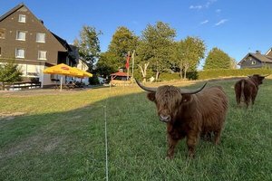 Besucher des Naturfreundehauses