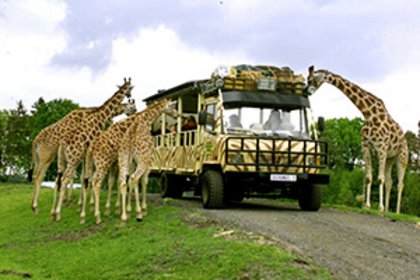 Serengeti Park