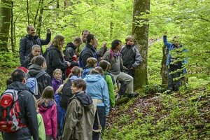 Wanderung im Grünen Pressmind Bild-ID : 2612404