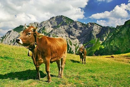 Klassenfahrt Allgäu Allgäu
