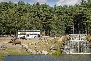 Pressmind Bild-ID : 1588857