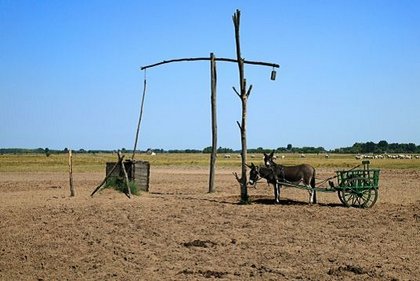 Die Landschaft Puszta bei Budapest