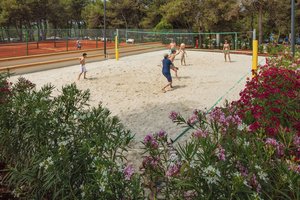 Beachvolleyballfeld Pressmind Bild-ID : 3365313