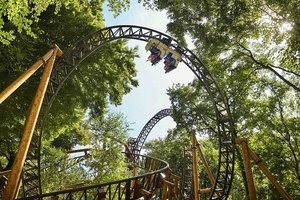 Falcon Pressmind Bild-ID : 1154857
