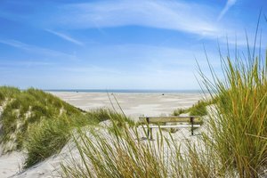 Sand, soweit das Auge reicht Pressmind Bild-ID : 1329235