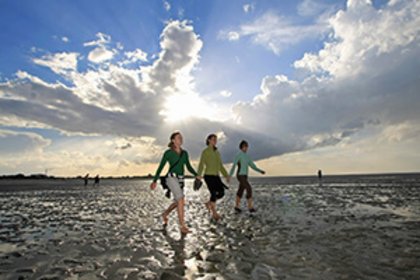Wattwanderung Nordsee