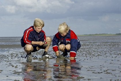 Klassenfahrten Umwelt & Klima Umwelt, Natur & Klima