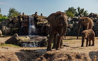 Safaripark Beekse Bergen