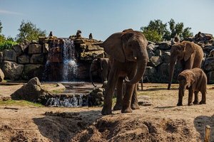 Safaripark Beekse Bergen