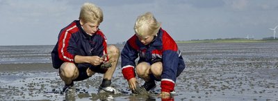 Klassenfahrt Umwelt & Klima Klassenfahrten Umwelt, Natur & Klima