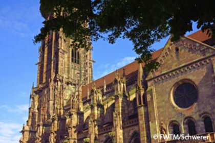Freiburger Münster