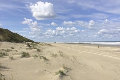 Zaandvort aan zee 