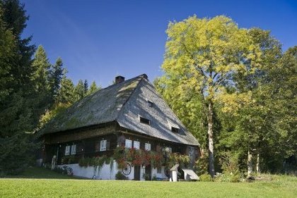 Schwarzwald Schwarzwald