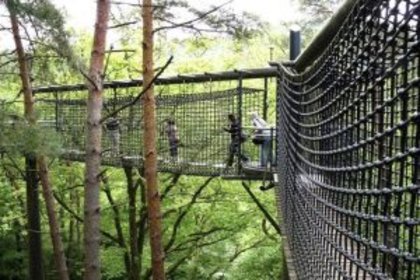 Vogelsberg Baumwipfelpfad