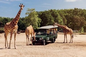 Safaripark Beekse Bergen