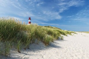 Dünenlandschaft Pressmind Bild-ID : 354248