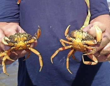 Pressmind Bild-ID : 1287400