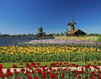 Holland Heino Summercamp