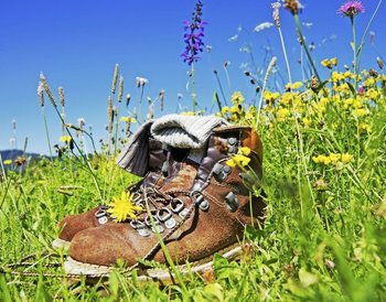 Pressmind Bild-ID : 1096577