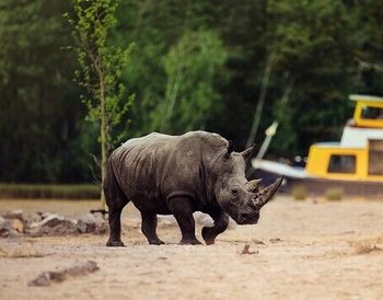 Safaripark Beekse Bergen