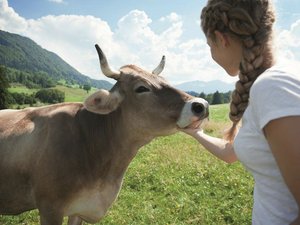 Klassenfahrt Allgäu - Kempten