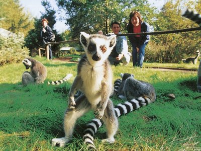 Lüneburger Heide Serengeti Park