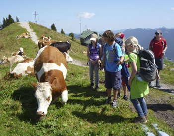 Pressmind Bild-ID : 2618524