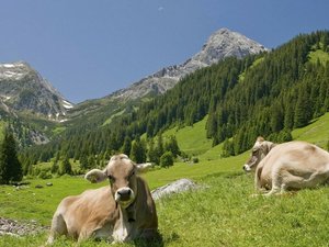 Allgäu Center Parcs