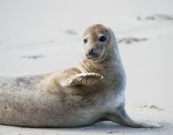 Pressmind Bild-ID : 1310313