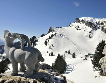 Pressmind Bild-ID : 1115115