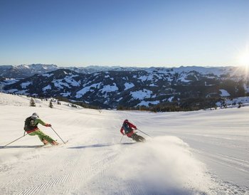 Pressmind Bild-ID : 1104851